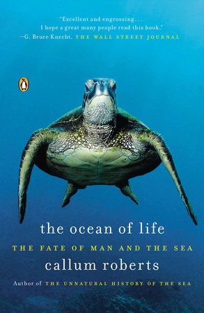 Ocean Of Life, The